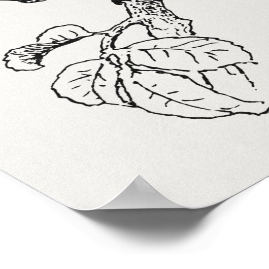 Cute Squirrel  Squirrel Illustratie Poster (Hoek)