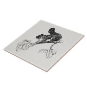 Cute Squirrel  Squirrel Illustratie Tegeltje (Zijkant)