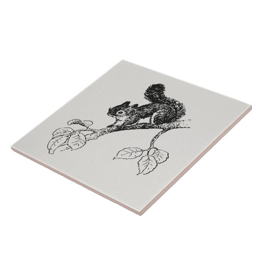 Cute Squirrel  Squirrel Illustratie Tegeltje (Zijkant)