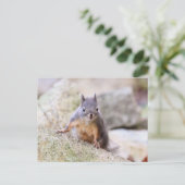 Cute Squirrel Staring Briefkaart (Staand voorkant)