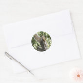 Cute Squirrel Sticker (Envelop)