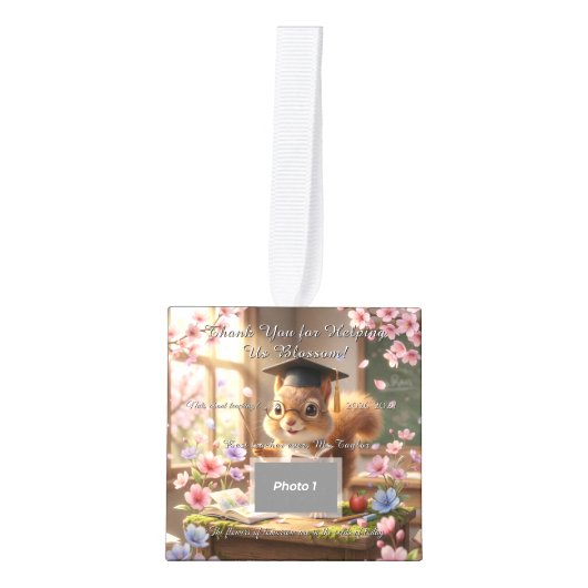Cute Squirrel Teacher Appreciation Ornament (Voorkant)