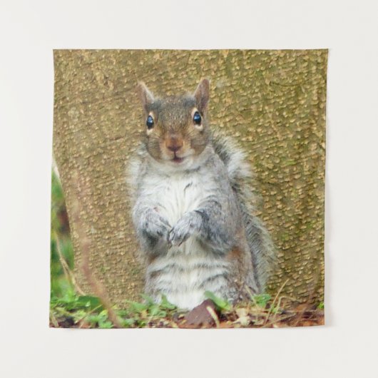 Cute Squirrel Wandkleed (Voorkant)