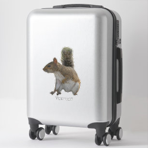 Cute squirrel wild dier sticker