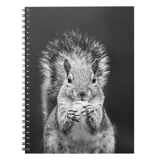 Cute Squirrel Wildlife Black en White Photography Notitieboek (Voorkant)