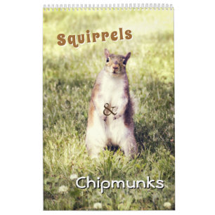 Cute Squirrels en Chipmunks Funny Animal Photos Kalender