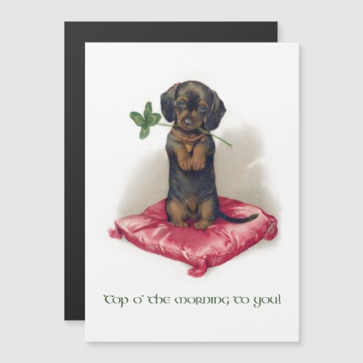 Cute St. Patrick's Day Dachshund w/Clover (Voorkant / Achterkant)