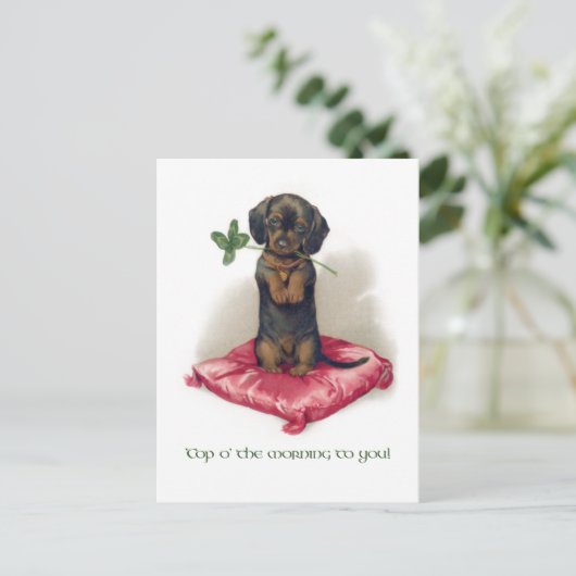 Cute St. Patrick's Day Dachshund w/Clover Briefkaart (Staand voorkant)