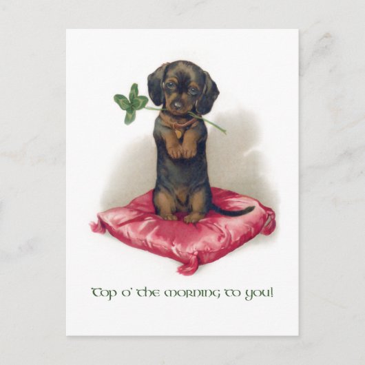 Cute St. Patrick's Day Dachshund w/Clover Briefkaart (Voorkant)