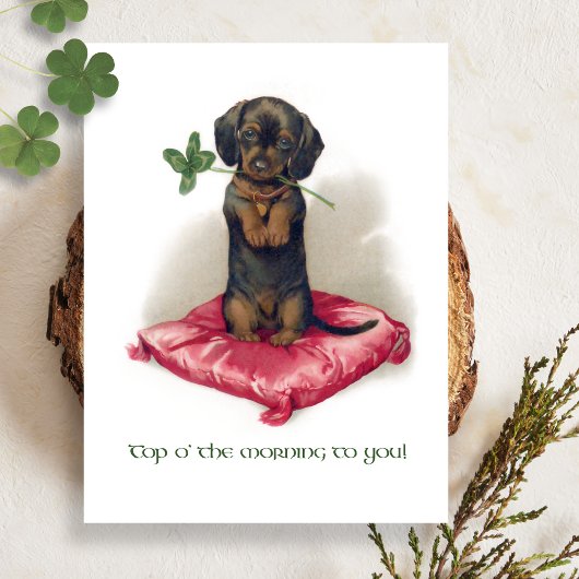 Cute  St. Patrick's Day Dachshund w/Clover Briefkaart