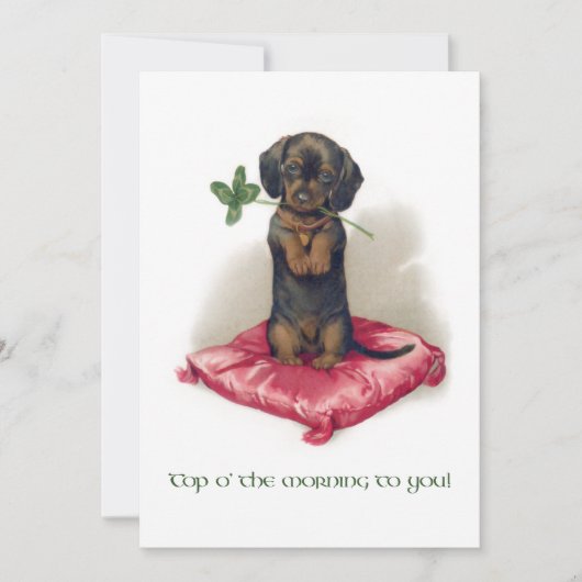 Cute  St. Patrick's Day Dachshund w/Clover Feestdagenkaart (Voorkant)