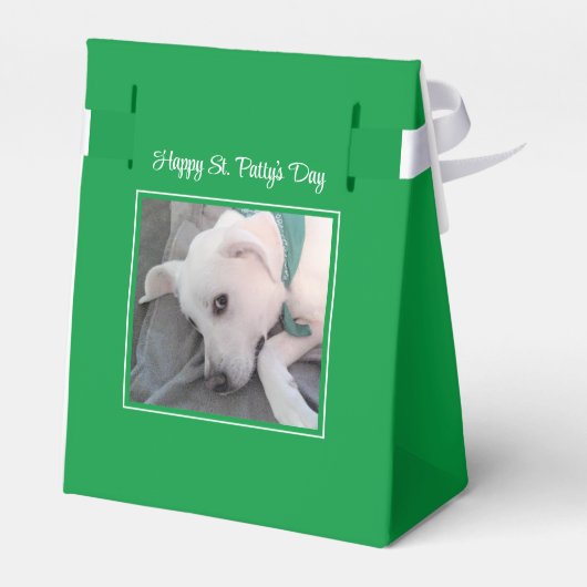 Cute St. Patrick's Day Green Lazy Dog Bedankdoosjes (Achterkant)