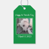 Cute St. Patrick's Day Green Lazy Dog Cadeaulabel (Voorkant)