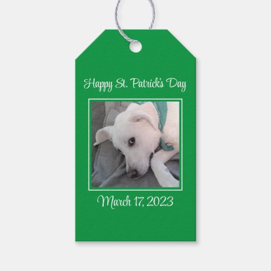 Cute St. Patrick's Day Green Lazy Dog Cadeaulabel (Voorkant)