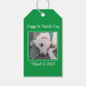 Cute St. Patrick's Day Green Lazy Dog Cadeaulabel (Achterkant)