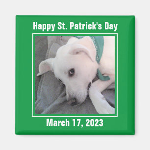 Cute St. Patrick's Day Green Lazy Dog Magneet
