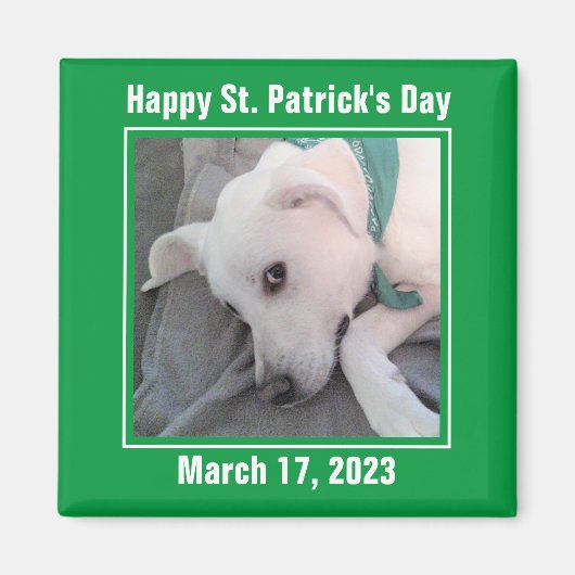 Cute St. Patrick's Day Green Lazy Dog Magneet (Voorkant)