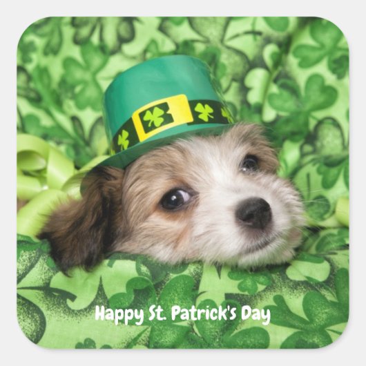 Cute St. Patrick's Day Puppy Vierkante Sticker (Voorkant)