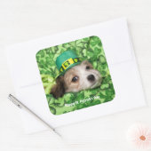 Cute St. Patrick's Day Puppy Vierkante Sticker (Envelop)