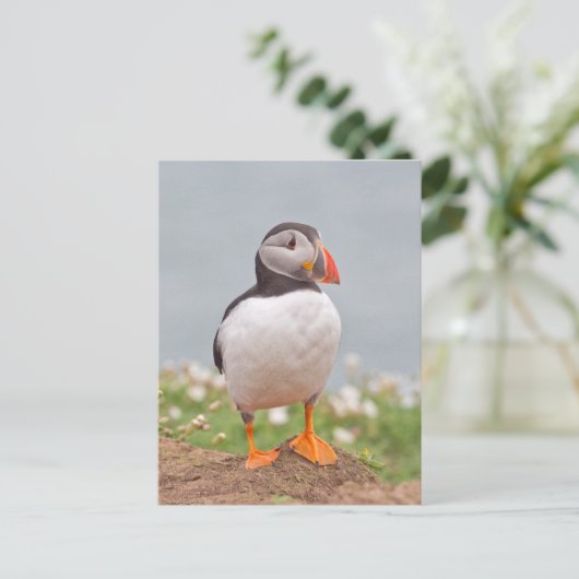 Cute Standing Puffin Briefkaart (Staand voorkant)
