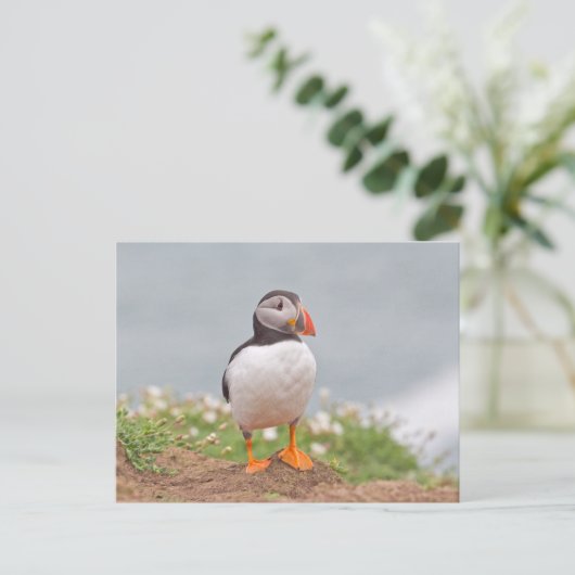 Cute Standing Puffin Briefkaart (Staand voorkant)