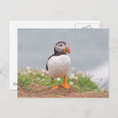 Cute Standing Puffin Briefkaart (Voorkant / Achterkant)