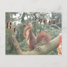 Cute Standing Squirrel HALLO Briefkaart