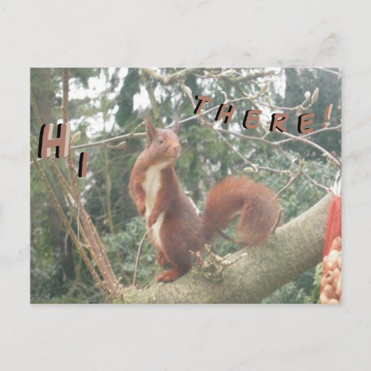 Cute Standing Squirrel HALLO Briefkaart (Voorkant)