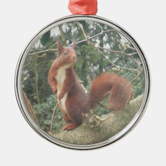 Cute Standing Squirrel Metal Ornament (Voorkant)