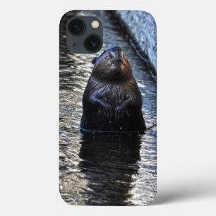Cute Standing Wild Beaver 2 Wildlife Foto iPhone 13 Hoesje