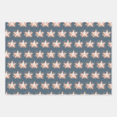 Cute Starfish Inpakpapier Vel (Voorkant 3)