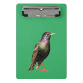 Cute Starling Bird Mini Klembord (Voorkant)