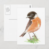 Cute Stonechat, Waterverf Bird Collectie Briefkaart (Voorkant / Achterkant)