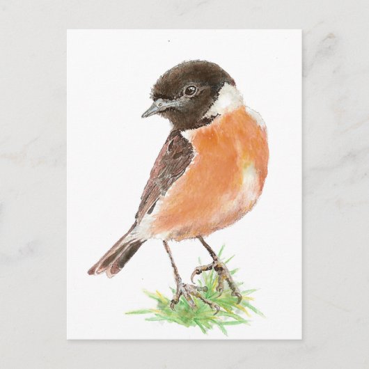 Cute Stonechat, Waterverf Bird Collectie Briefkaart (Voorkant)