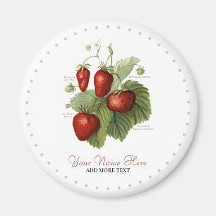 Cute  Strawberry Varieties Name Magneet