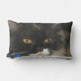 Cute Studding Cat Kussen