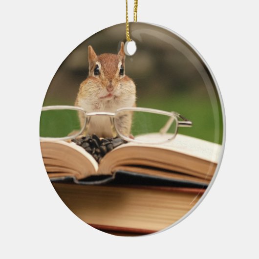 Cute Studious Chipmunk Keramisch Ornament (Links)