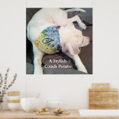 Cute Stylish White Dog Wearing Colorful Scarf Poster (Keuken)