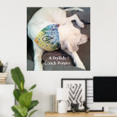 Cute Stylish White Dog Wearing Colorful Scarf Poster (Thuiskantoor)