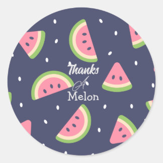 Cute Summer Blue Green Bedankt Watermelon Ronde Sticker