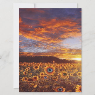 Cute Sunflower Eye - Vintage Funny Birthday Gift