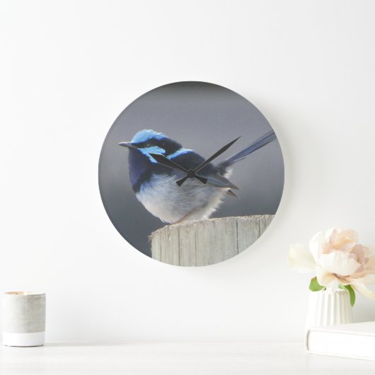 Cute Superb Fairywren Wall Clock Grote Klok (Huis)