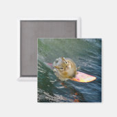 Cute Surfing Chipmunk Magneet (Voorkant / Achterkant)