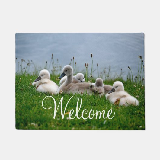 Cute Swan Babies Welkom Deurmat (Voorkant)