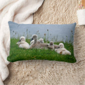 Cute Swan Cygnets - Pillow Kussen (Deken)