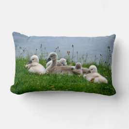 Cute Swan Cygnets - Pillow Kussen