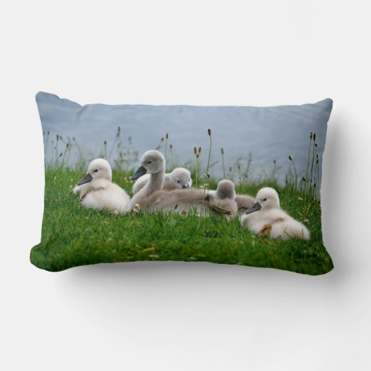 Cute Swan Cygnets - Pillow Kussen (Voorkant)
