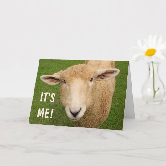 Cute Sweet Sheep Birthday Kaart (Kleine Plant)