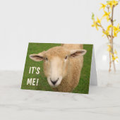 Cute Sweet Sheep Birthday Kaart (Gele Bloem)