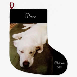 Cute Sweet Slaping White Dog Large Kerstmis Stoc Grote Kerstsok